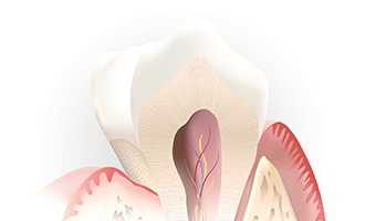 Animation of interior structure of tooth